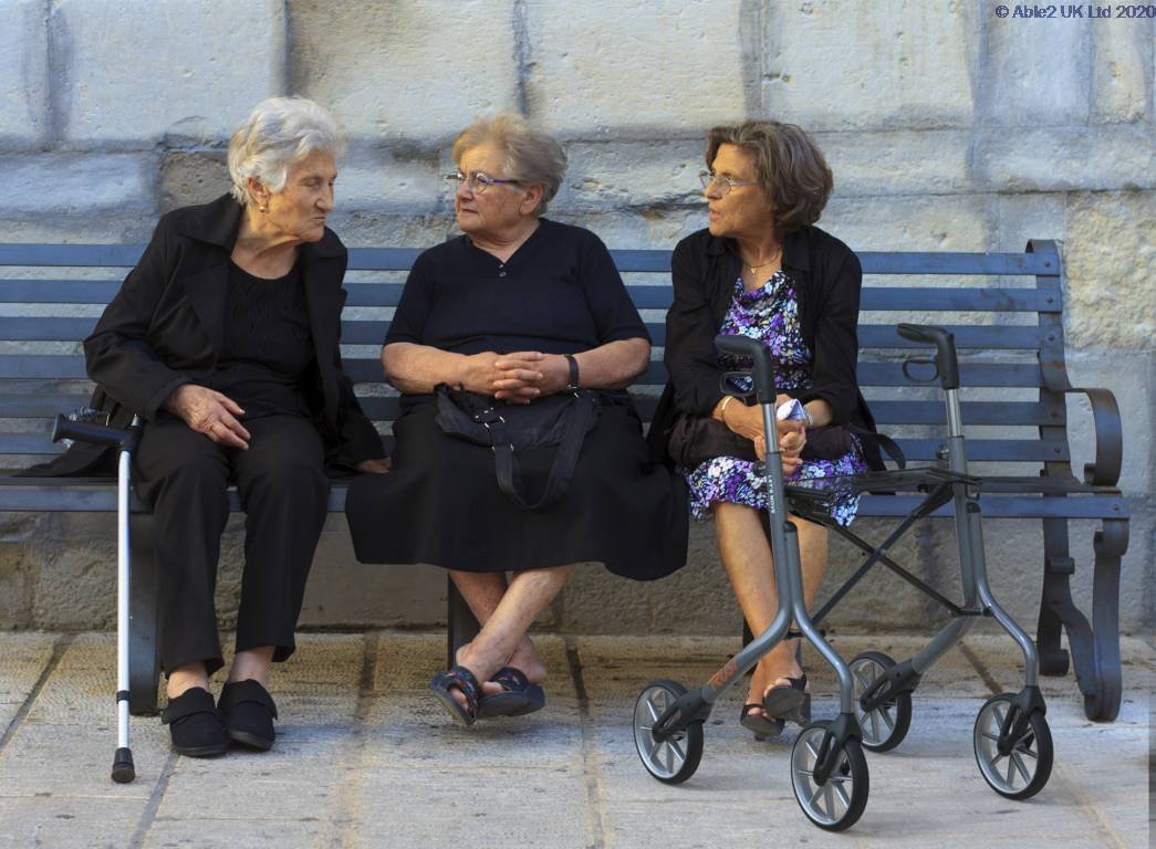 Lets Move Rollator - Image 2