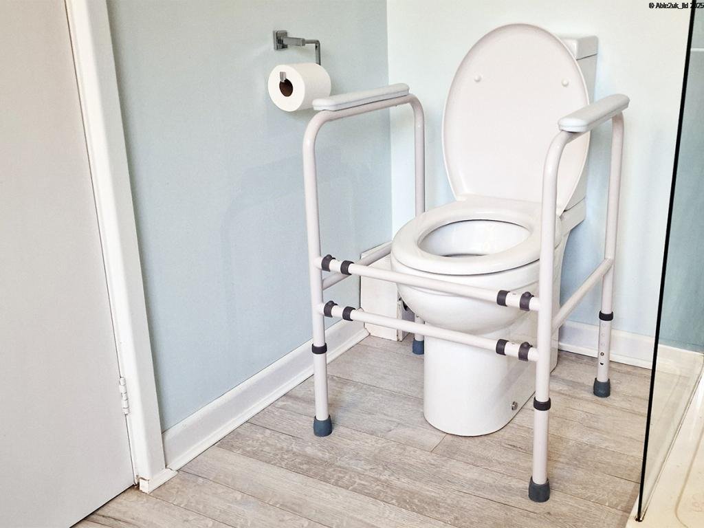 Atlantis Toilet Frame - Image 2