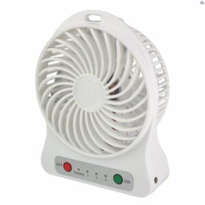 Small but Mighty Fan
